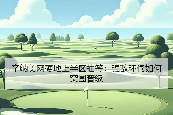 辛纳美网硬地上半区抽签：强敌环伺如何突围晋级